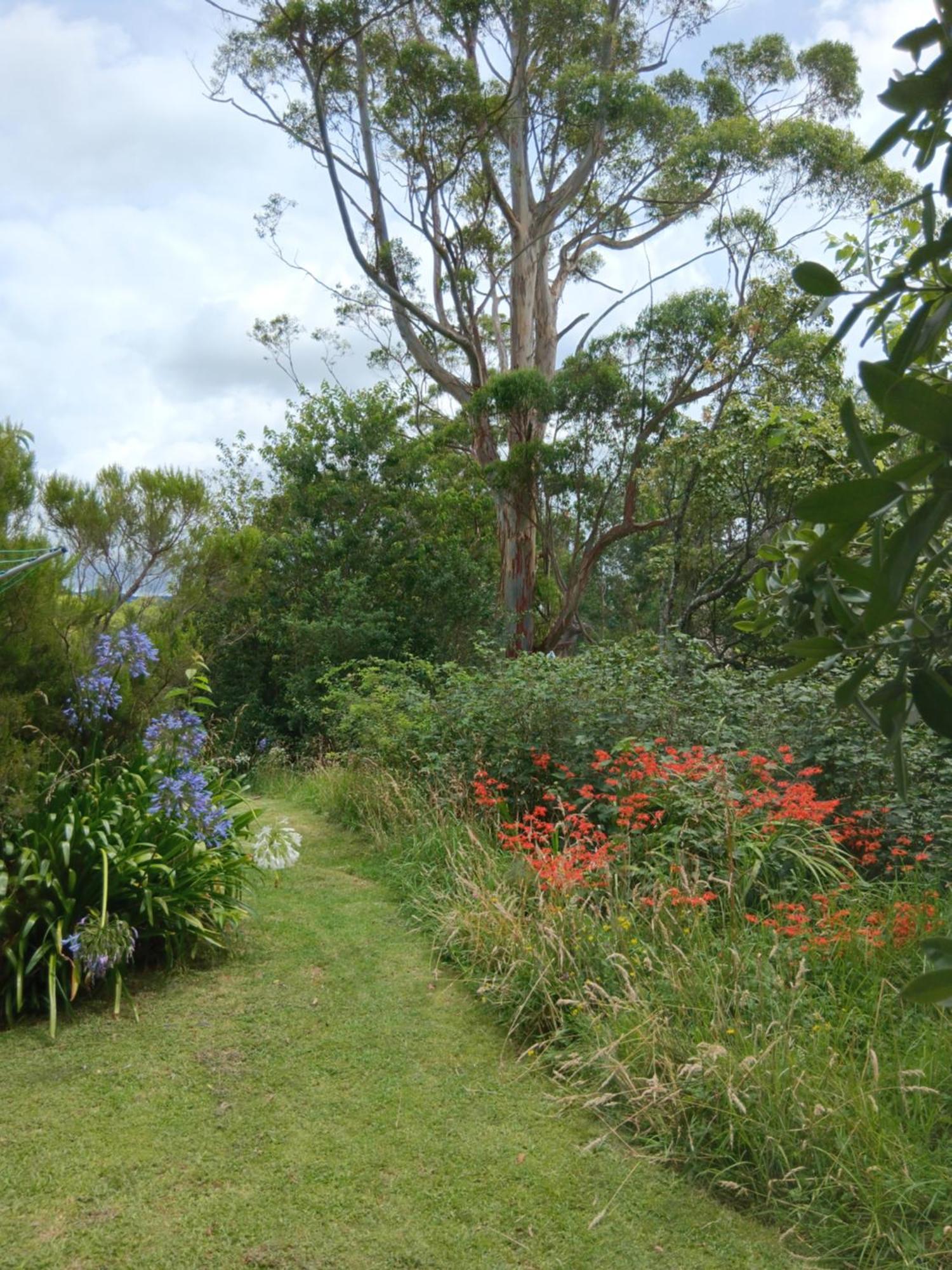 Purple Hen Country Lodge Katikati Exterior photo