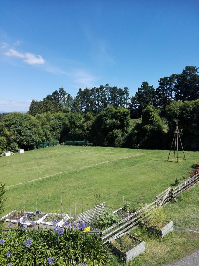 Purple Hen Country Lodge Katikati Exterior photo