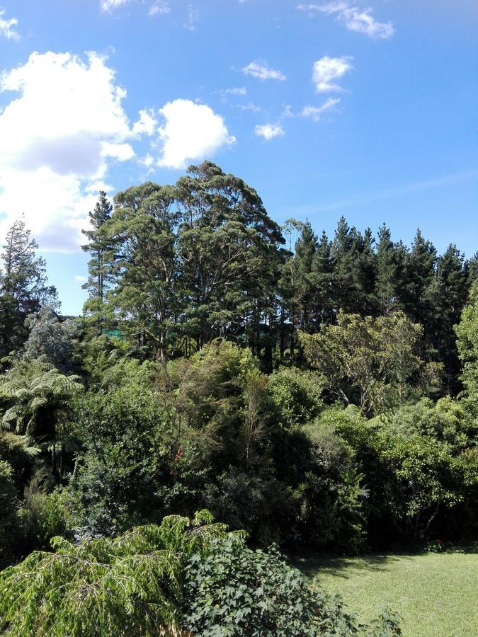 Purple Hen Country Lodge Katikati Exterior photo