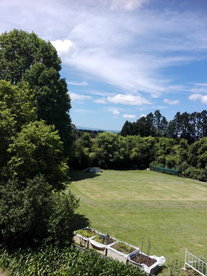 Purple Hen Country Lodge Katikati Exterior photo